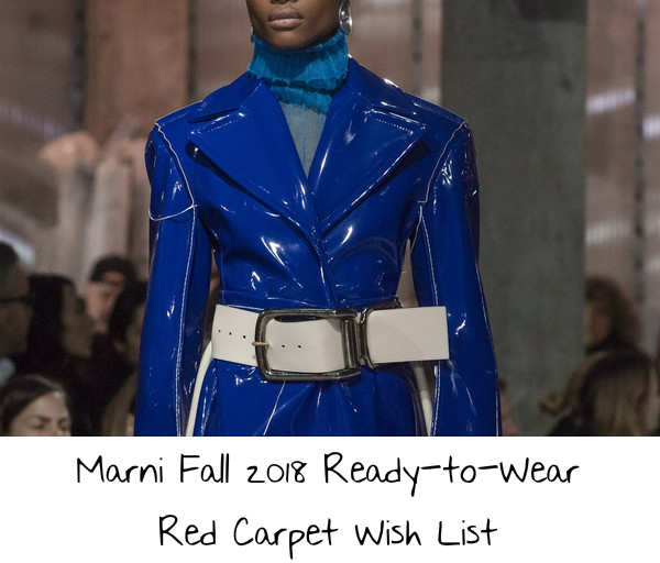 Marni Fall 2018 Ready-to-Wear Red Carpet Wish List